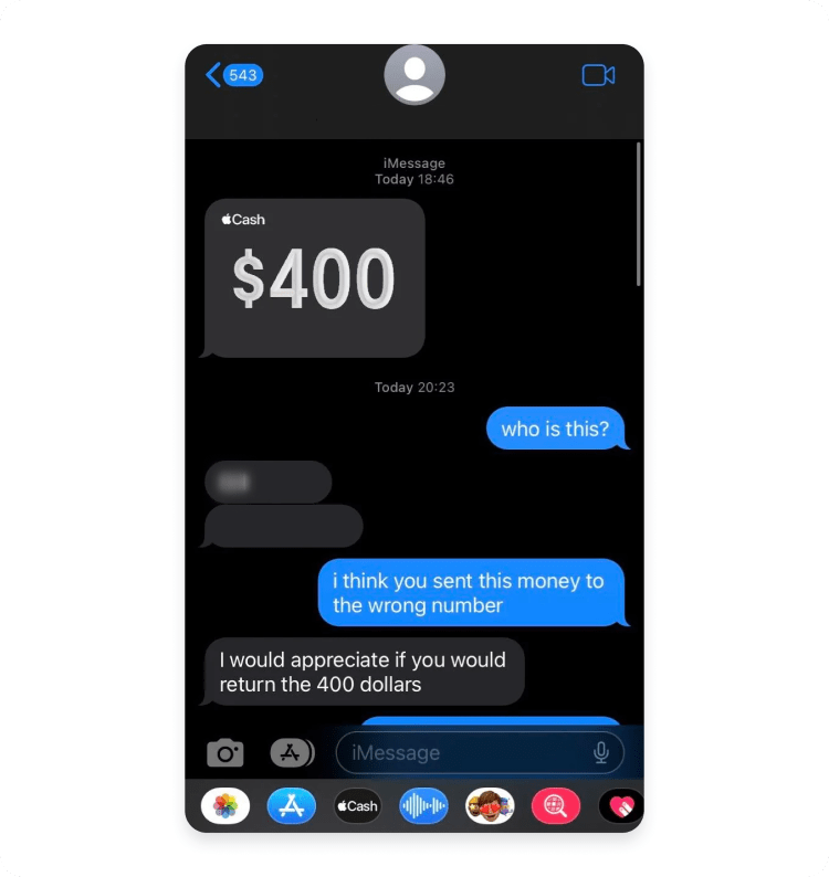 The Future of Apple Pay Scams - visual representation