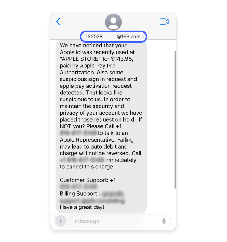 Protecting Your Apple ID: Advanced Settings and Features - visual representation