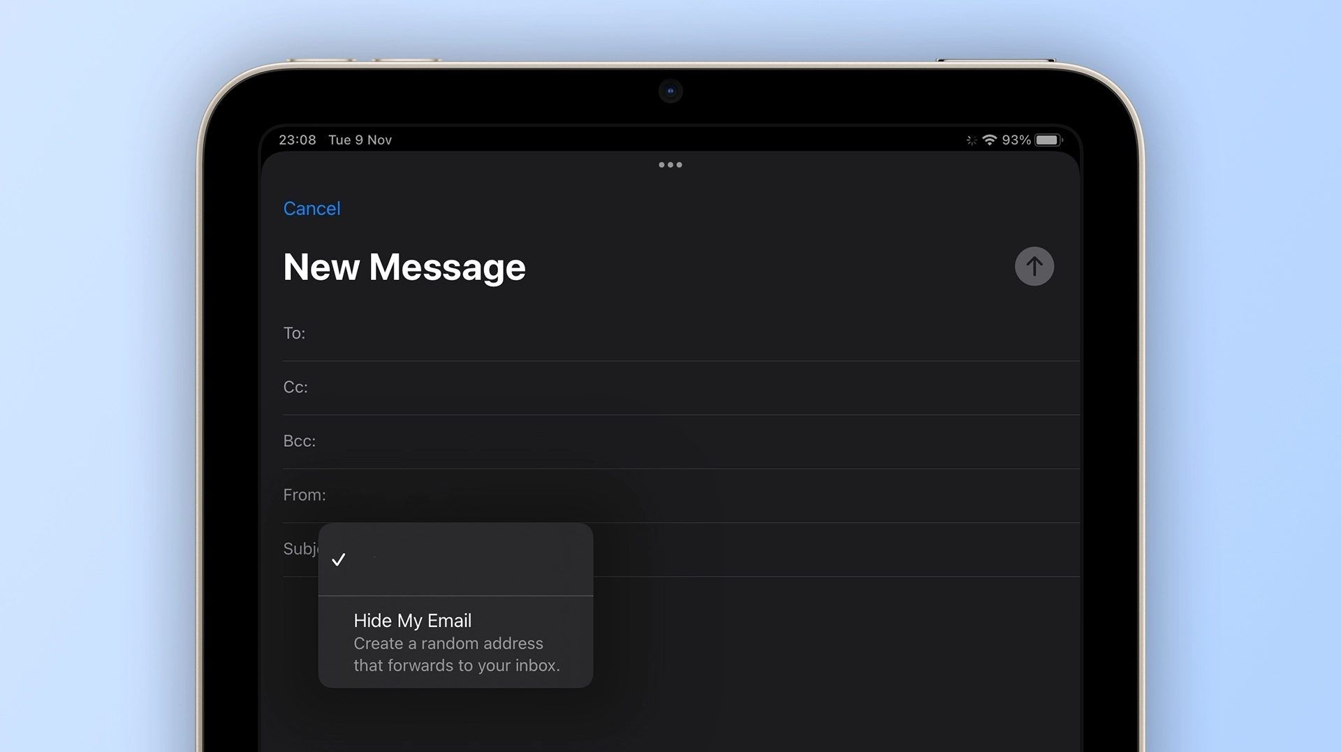 Apple's 'Hide My Email' Vulnerability: Understanding, Mitigation, and Future Security