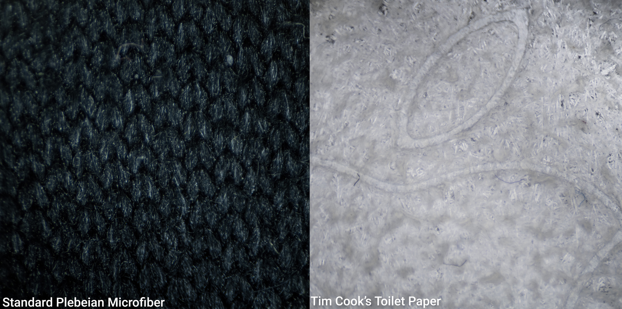 Why All the Fuss About a Cloth? - visual representation