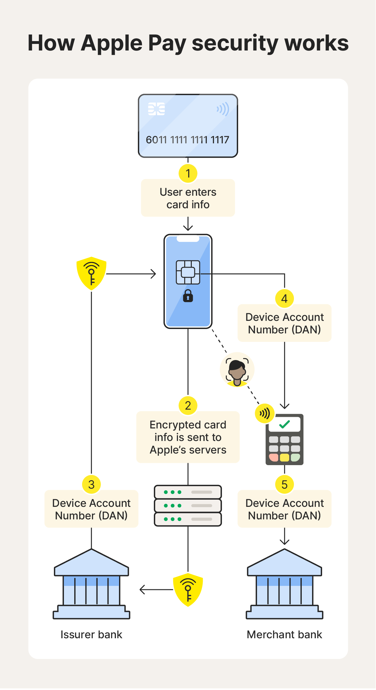 Delving into Apple Pay - visual representation