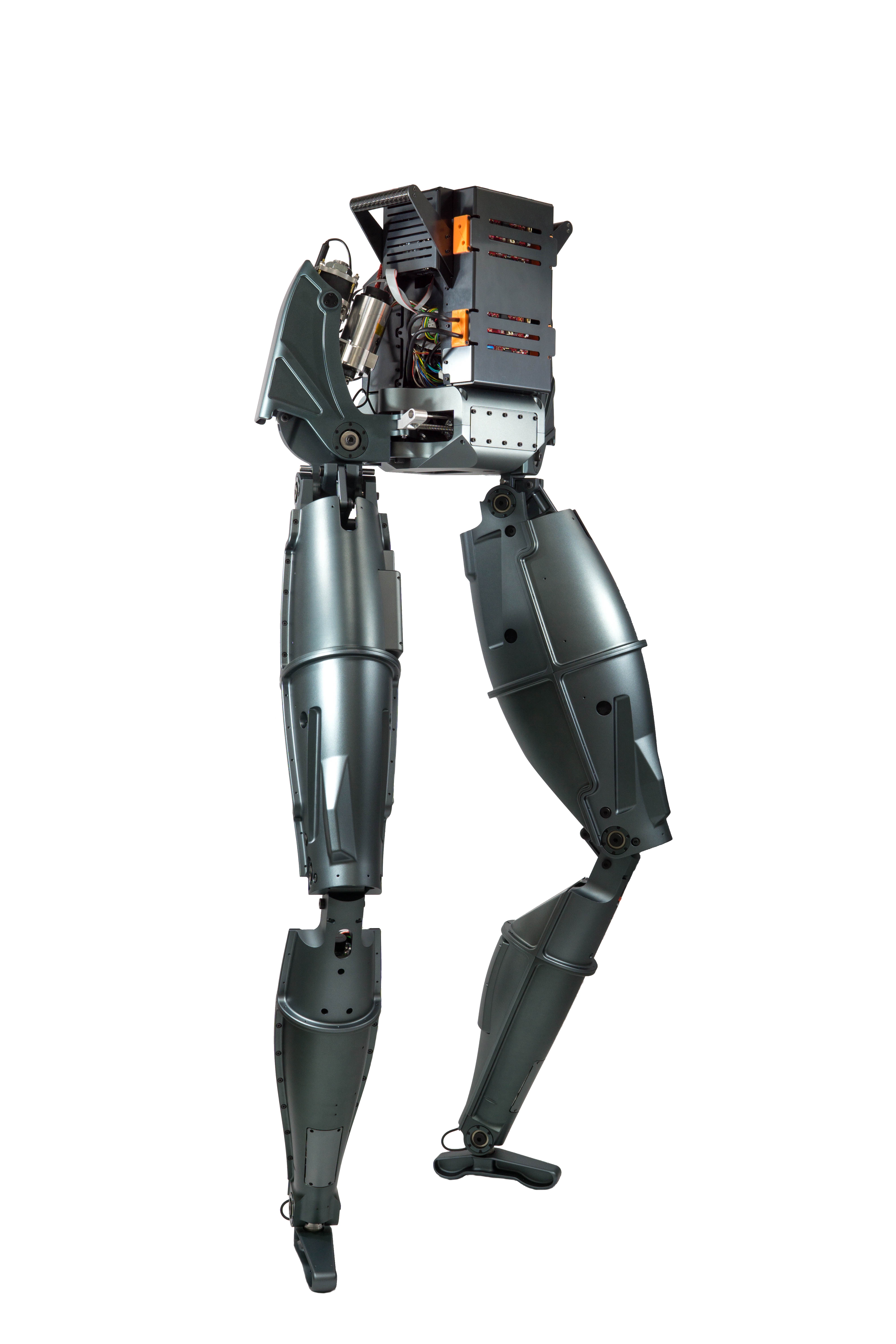 Future Outlook: What Comes Next - visual representation