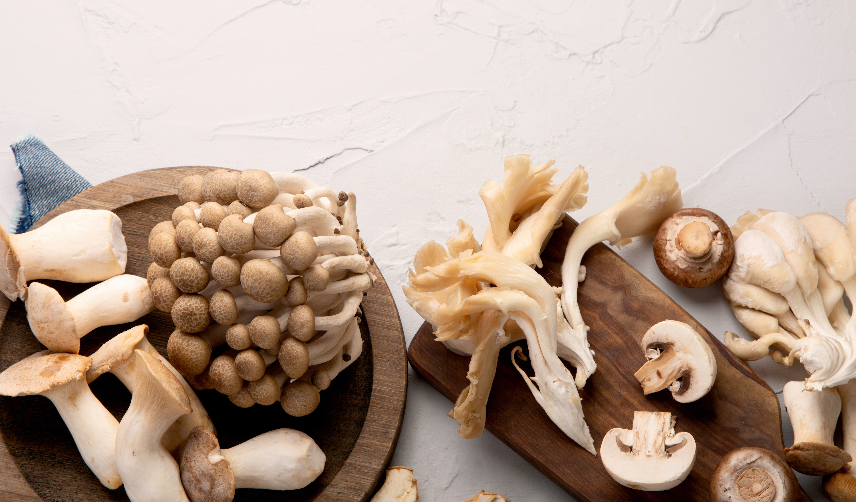 Real-World Use Cases: Where Mushroom Supplements Actually Help - visual representation