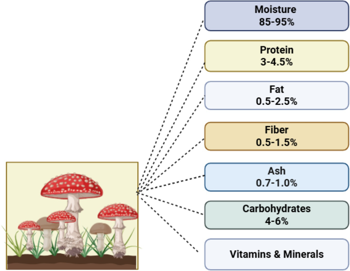 Key Takeaways for Reference - visual representation