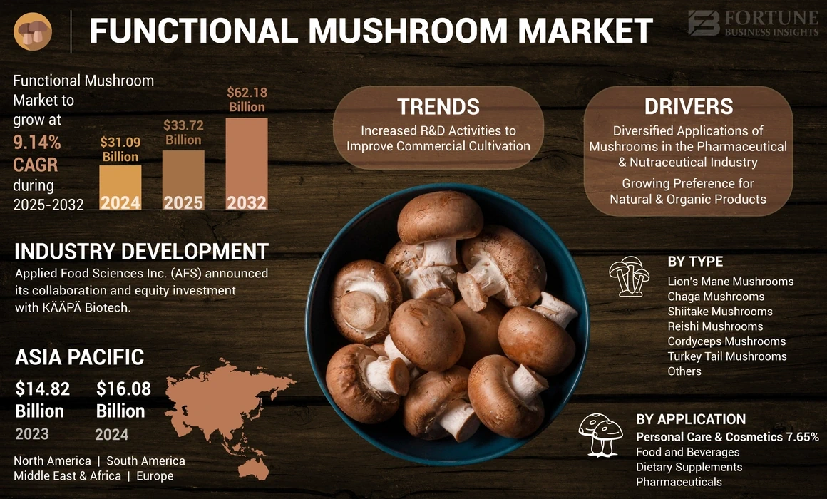 What Does the Science Actually Say About Mushroom Benefits? - visual representation