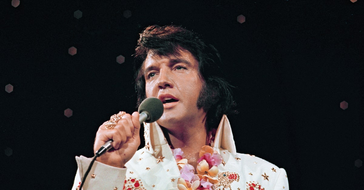 Comparing Specialized Enterprise AI Solutions - visual representation