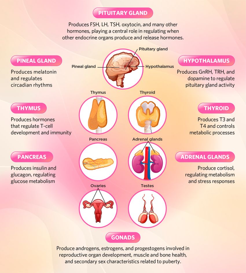The Real Use Cases (Where These Tests Actually Help) - visual representation
