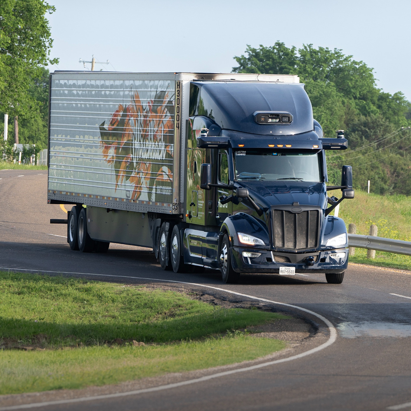 Competition and the Autonomous Trucking Landscape - visual representation