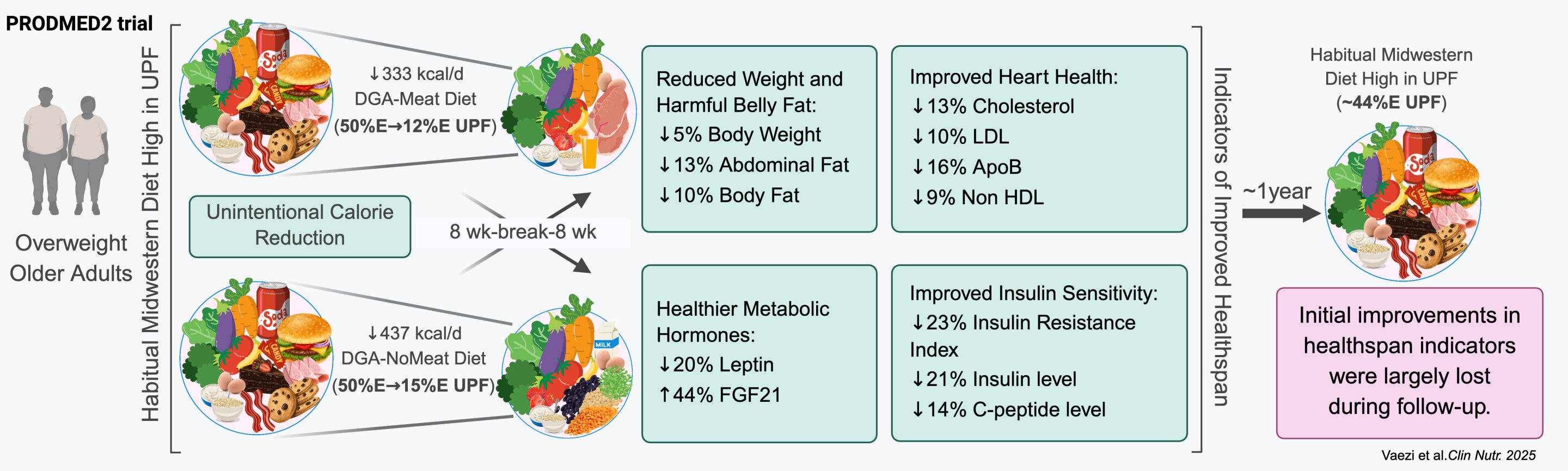 Conclusion: Your Metabolic Future Is Still Yours to Determine - visual representation