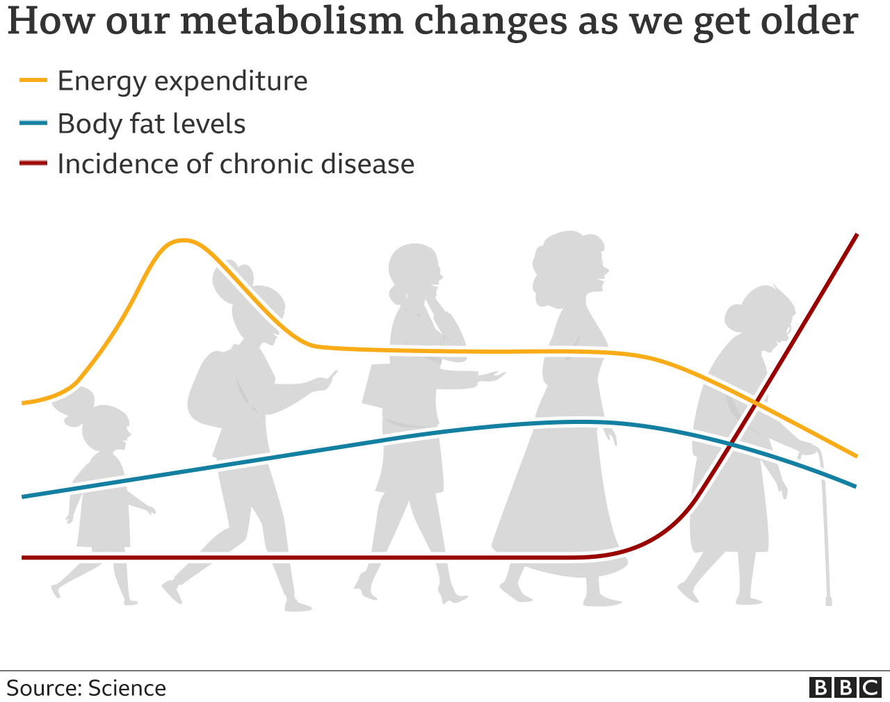 The Aging Problem: Why Metabolism Changes After 65 - visual representation