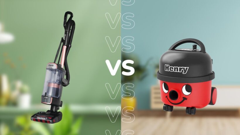 Environmental Impact: The Sustainability Question - visual representation