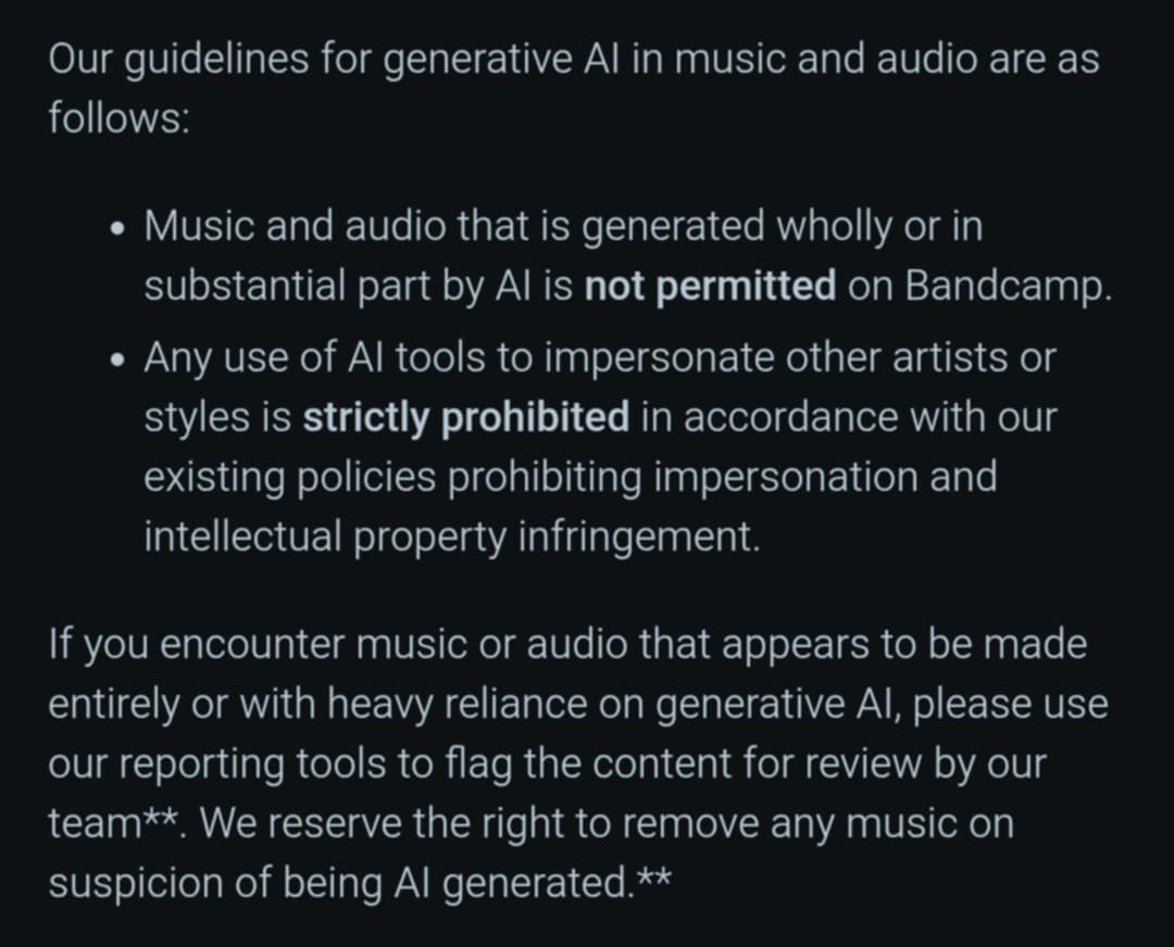 The Statement Versus the Reality: Can Bandcamp Actually Enforce This? - visual representation
