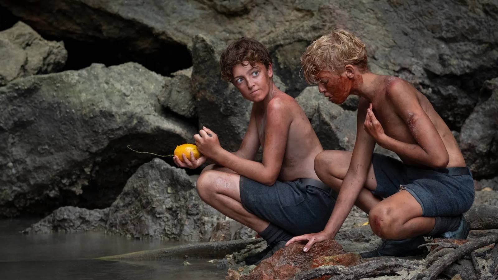 Critical Reception and Expectations - visual representation