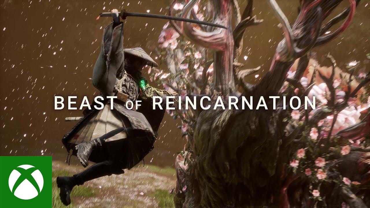 Common Questions About Beast of Reincarnation - visual representation