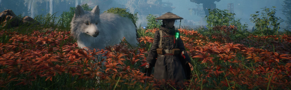 The Bigger Picture: What Beast of Reincarnation Represents - visual representation