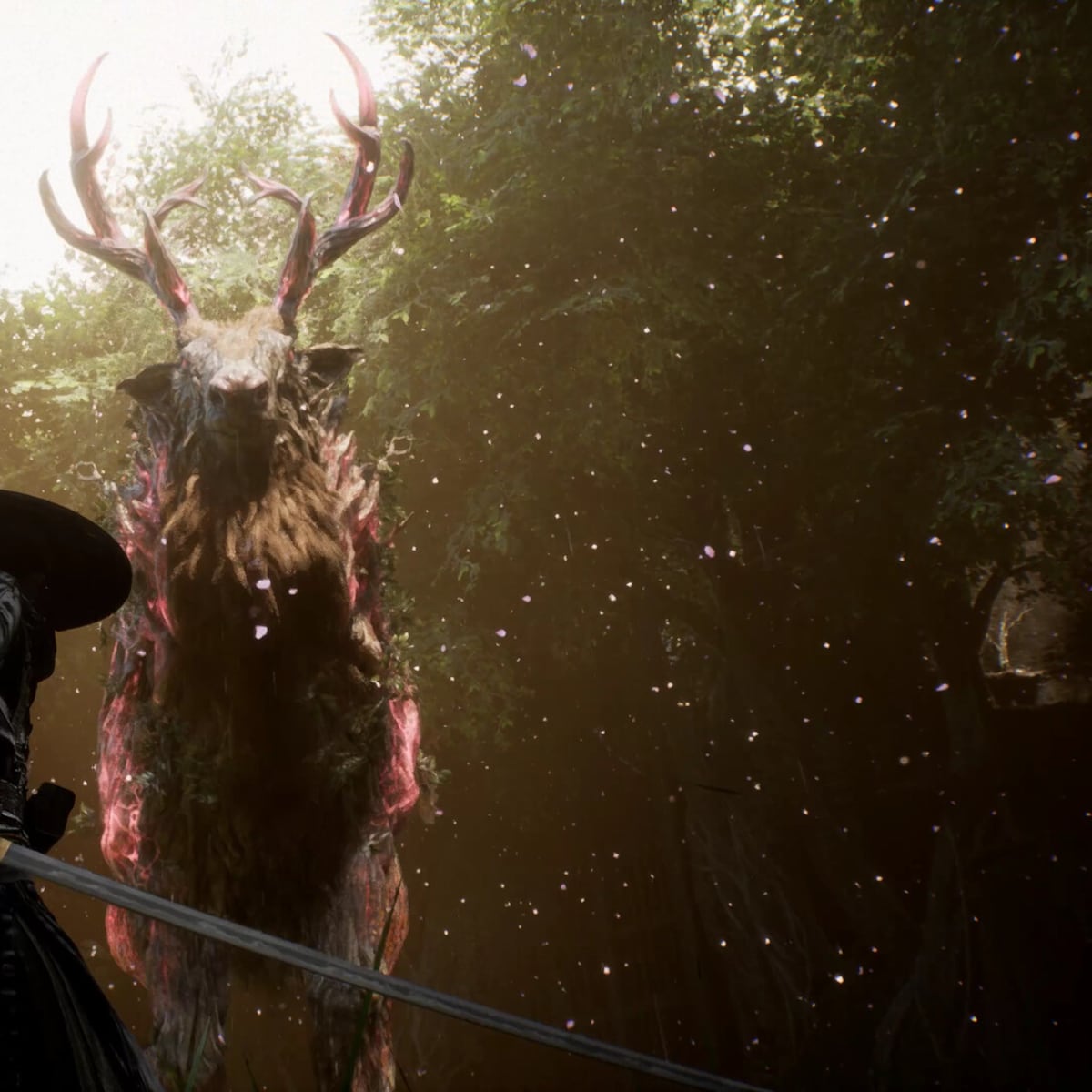 Summer 2025 Release and What to Expect - visual representation