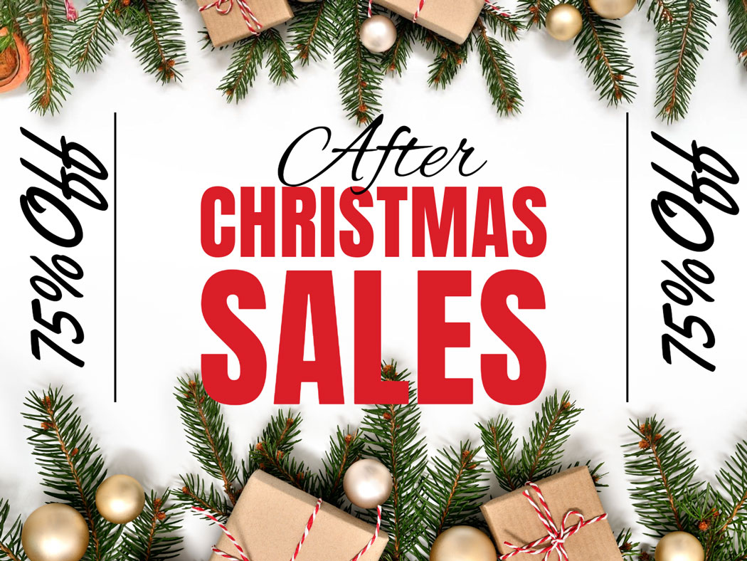 Future-Proofing Your Purchase - visual representation