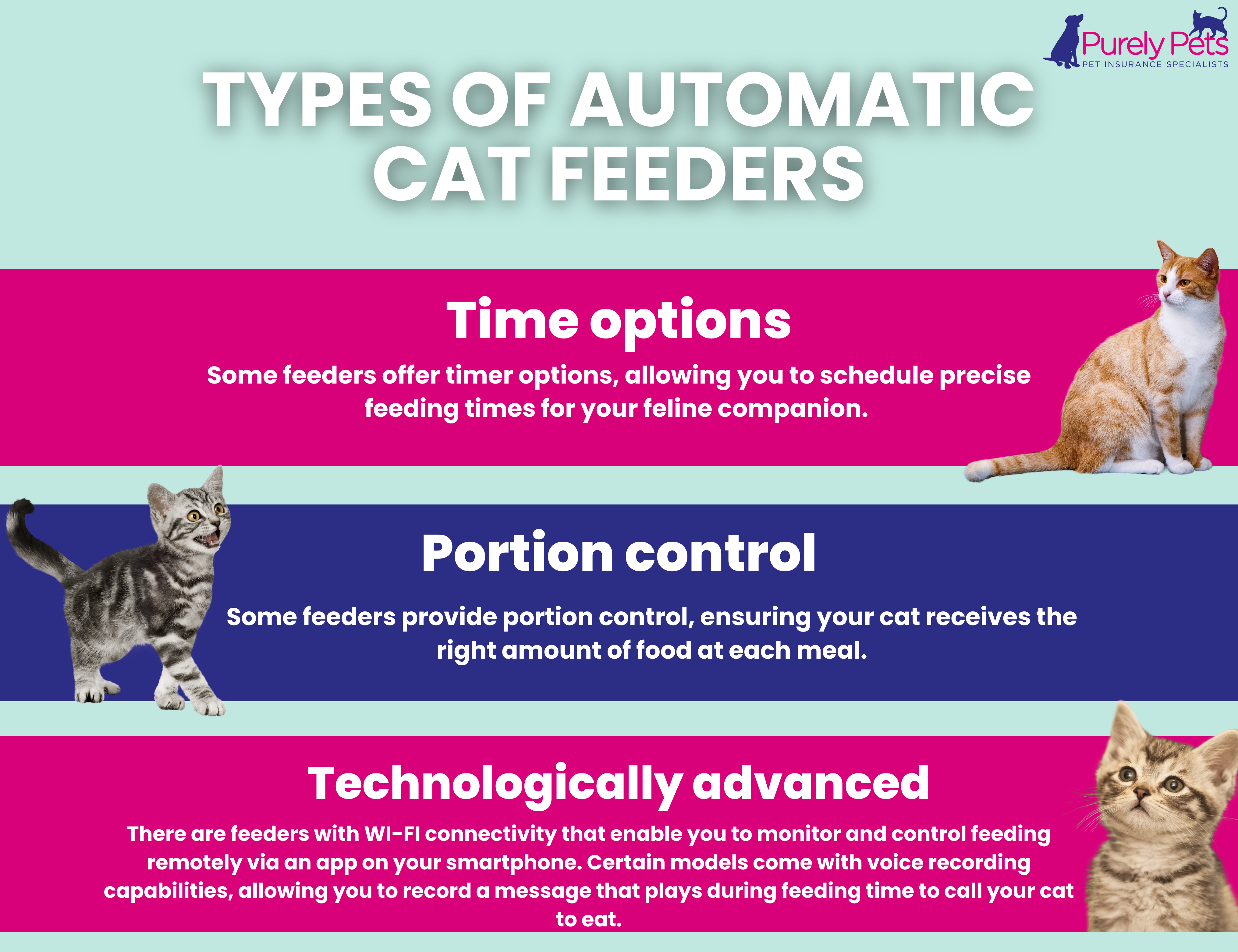 For Apartment Dwellers: Pifi Automatic Feeder - visual representation
