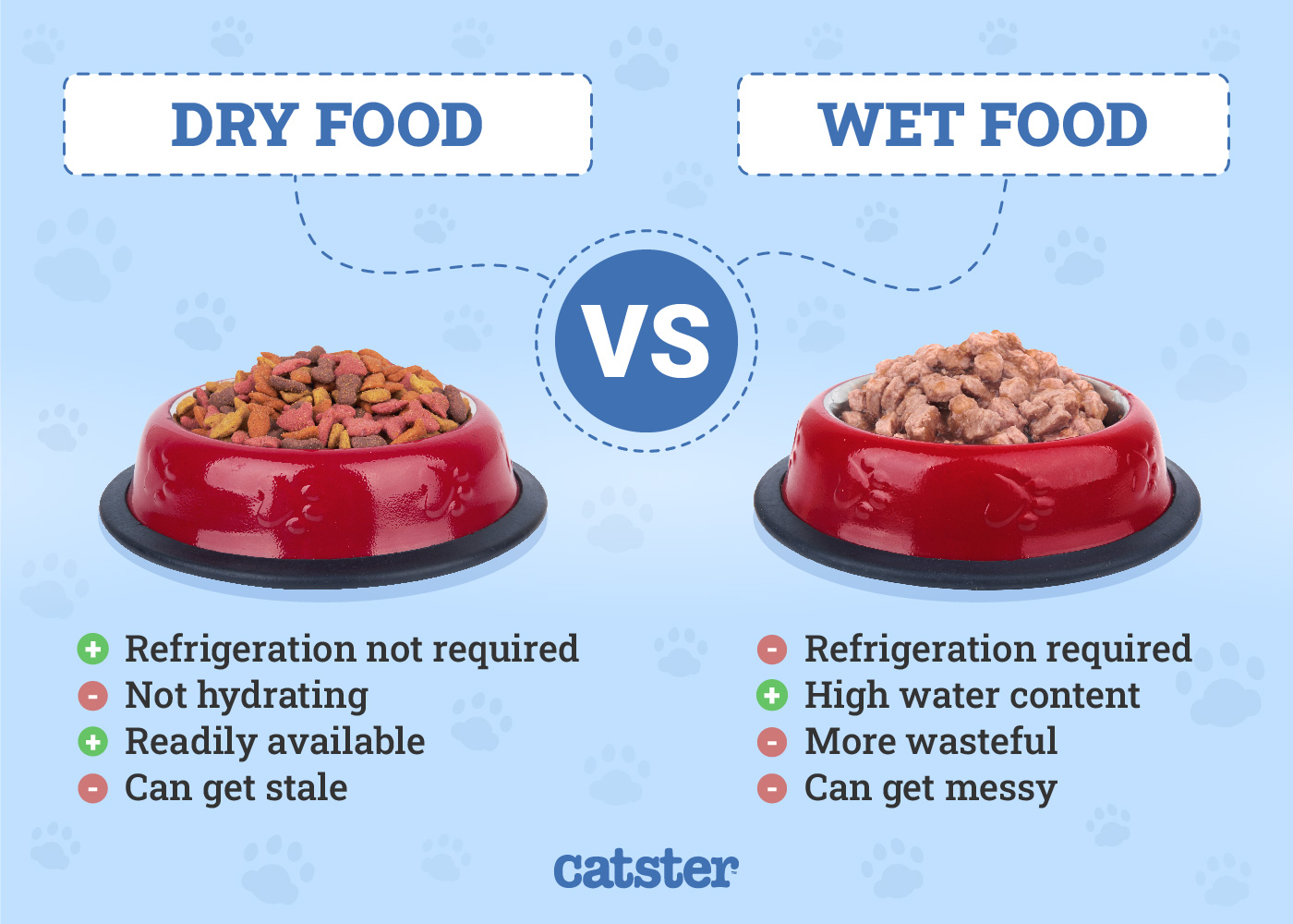 Dry Food vs. Wet Food Feeders: The Key Differences - contextual illustration