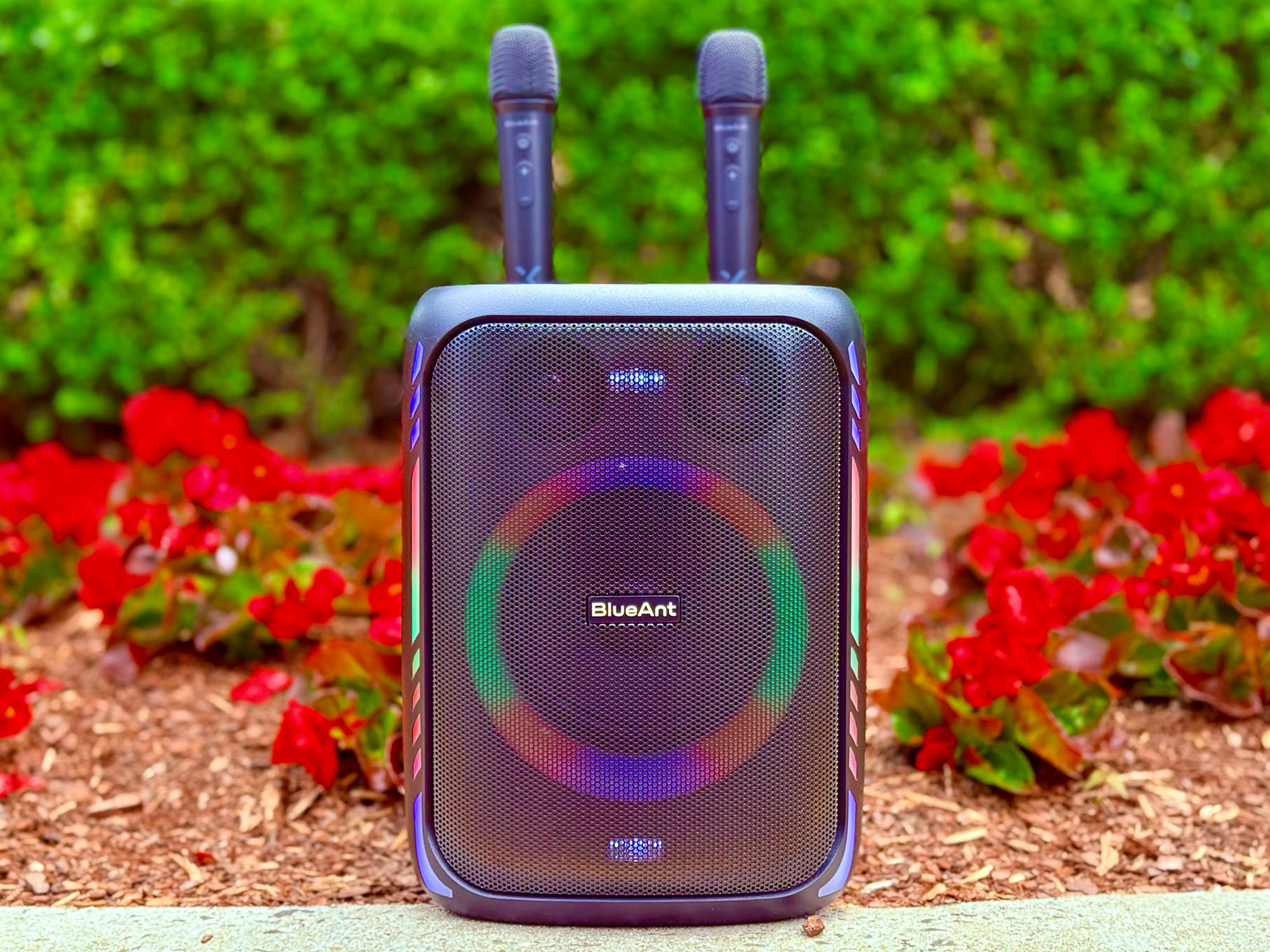 FAQ - visual representation