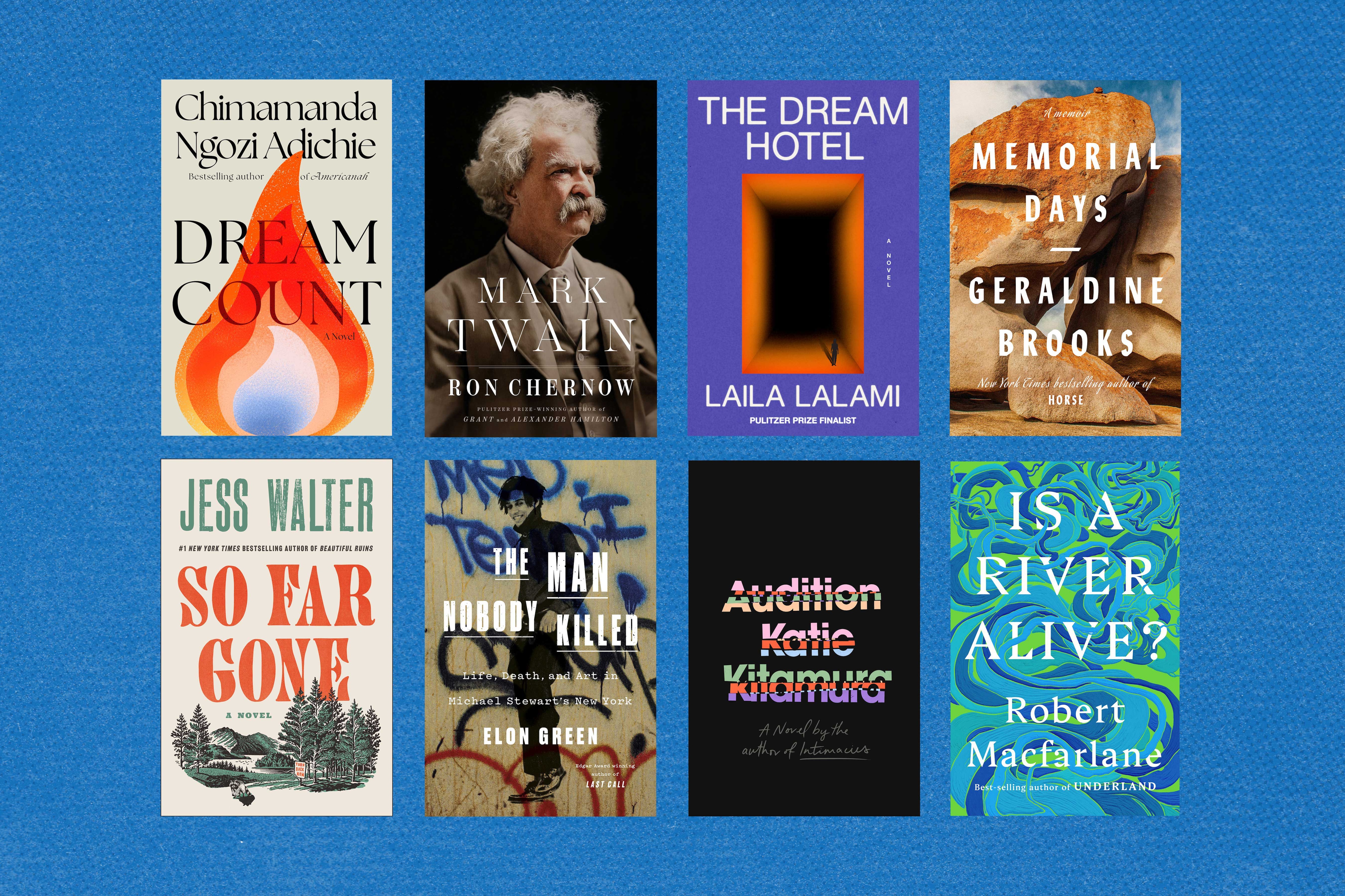 Representation and Authenticity in 2025 Literature - visual representation