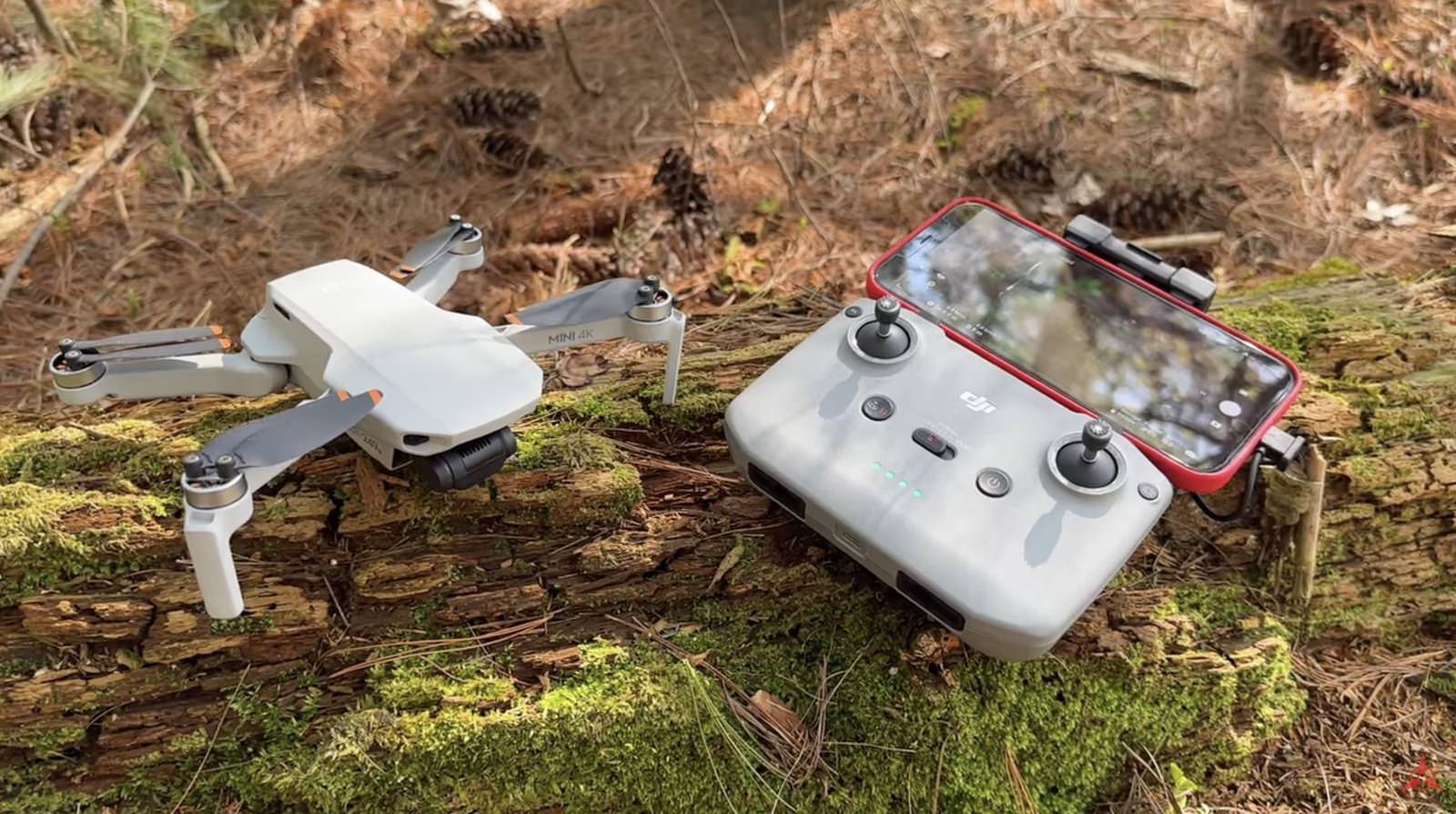 Current Pricing and Sale Value - visual representation