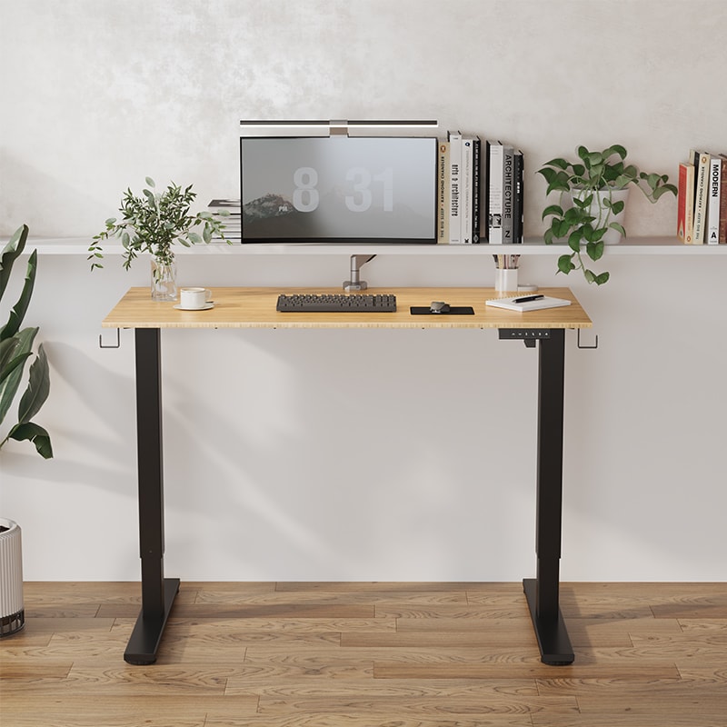 The Future of Budget Standing Desks - visual representation