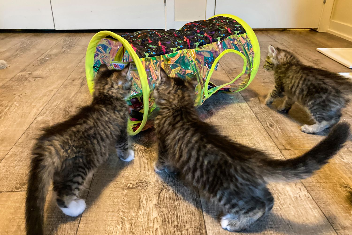 Common Mistakes to Avoid - visual representation