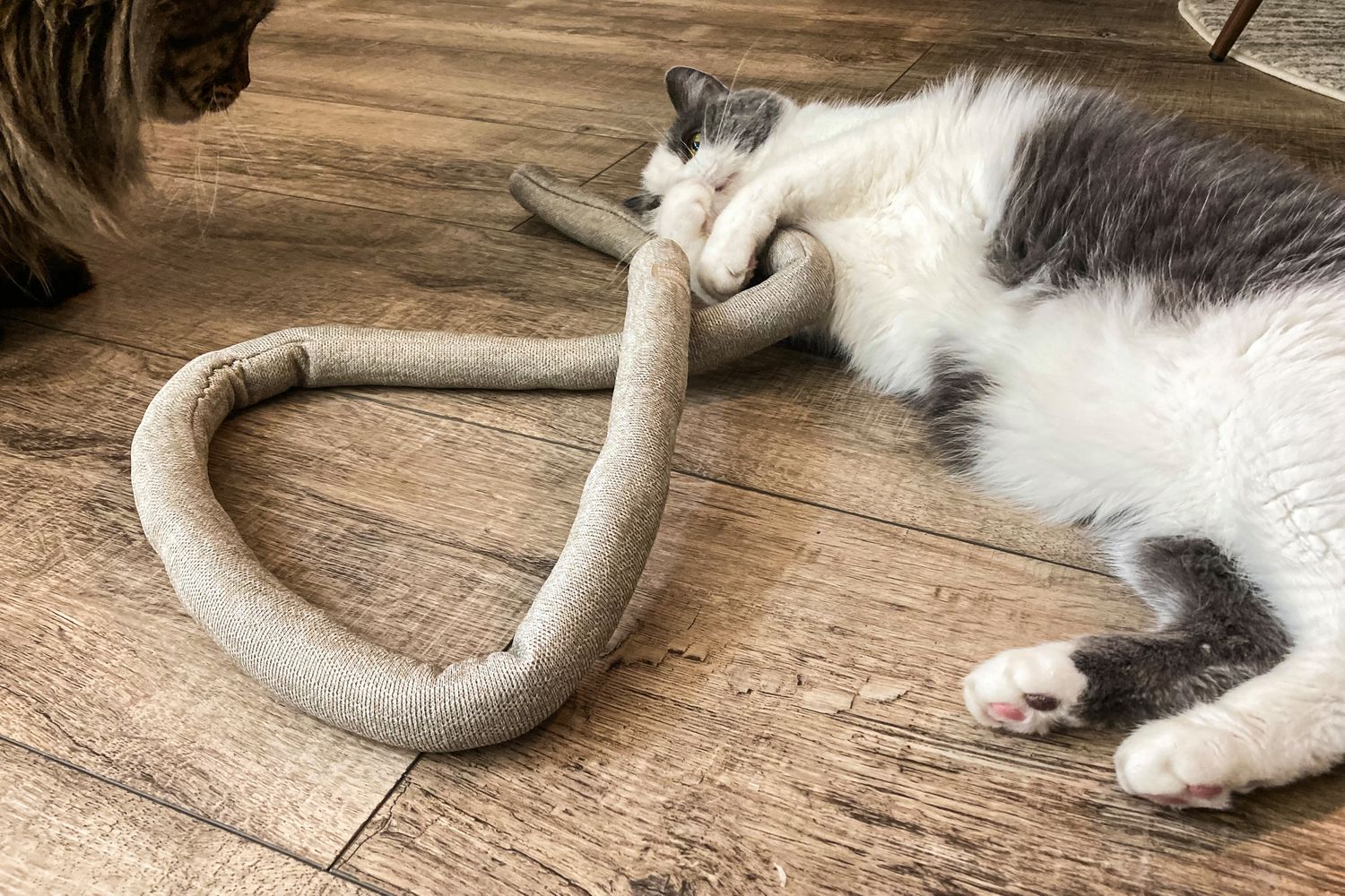 Environmental Enrichment: Furniture That Matters - visual representation