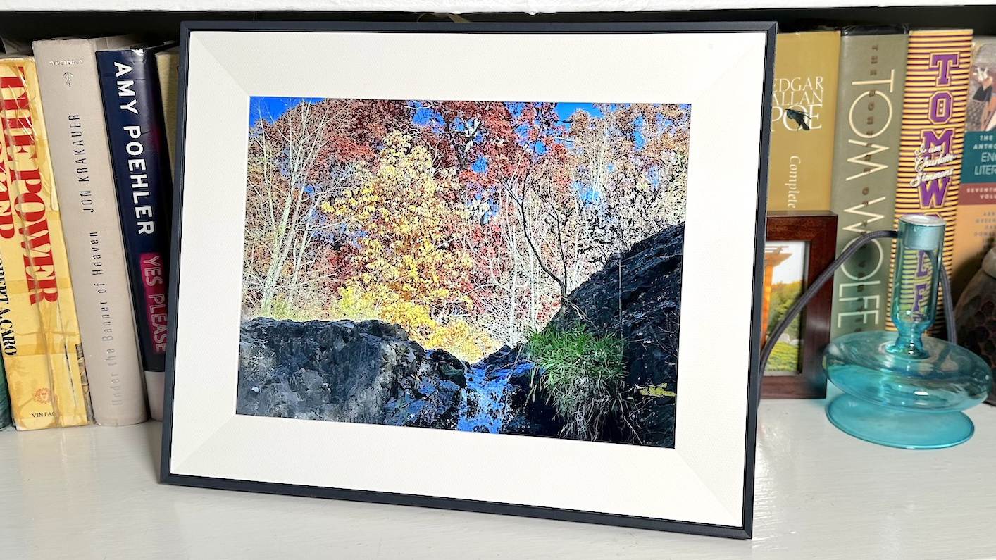 Comparing Top Models: Detailed Feature Analysis - visual representation