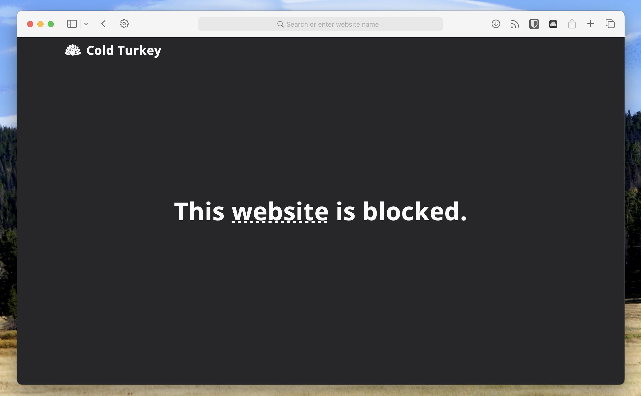 The Role of Automation in Focus and Productivity - visual representation