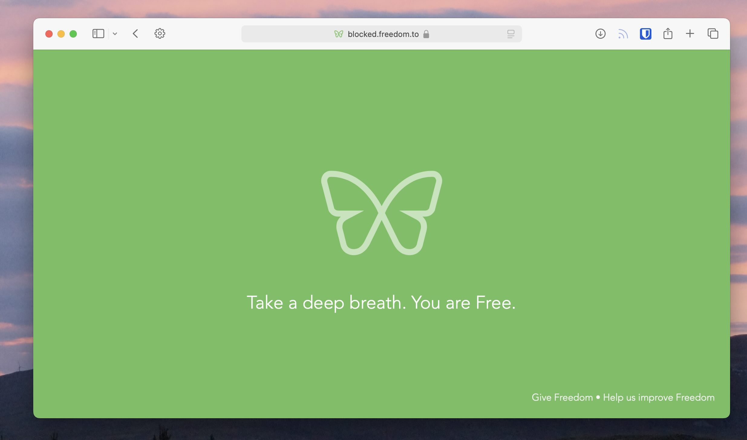 Forest: Gamified Focus with Real Impact - visual representation