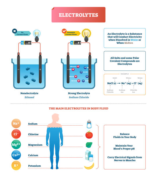 Introduction: Why Electrolytes Matter More Than You Think - contextual illustration