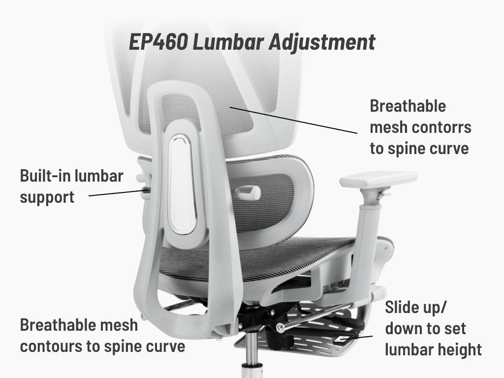 Understanding Ergonomic Office Chairs: The Foundation - contextual illustration