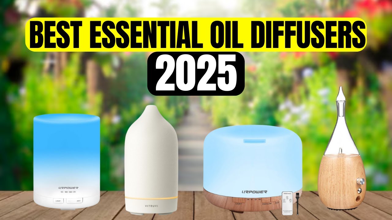 Real-World Performance: Extended Testing Results - visual representation