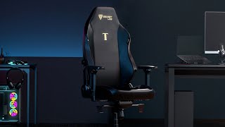 Real User Experiences: What People Actually Say About Secretlab Titan Evo - visual representation