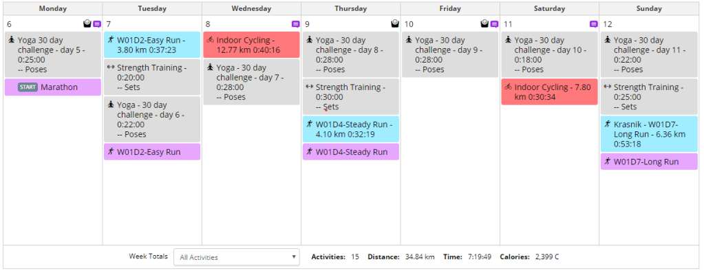 Premium Option: Garmin Epix Gen 2 ($599) - visual representation