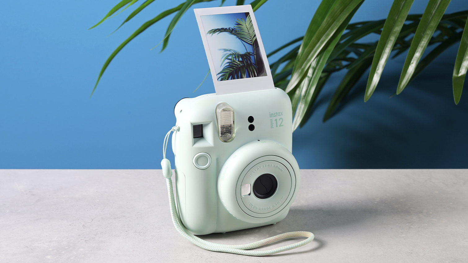 Final Thoughts: The Lasting Appeal of Instant Photography - visual representation
