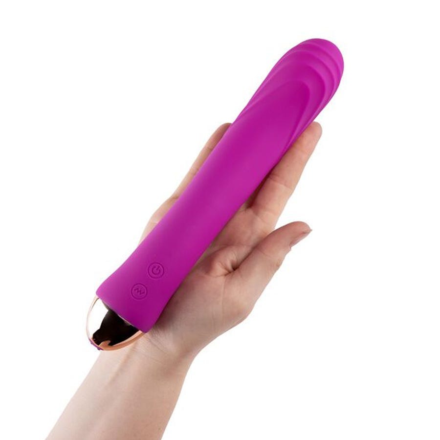Common Mistakes When Shopping for Internal Vibrators - visual representation