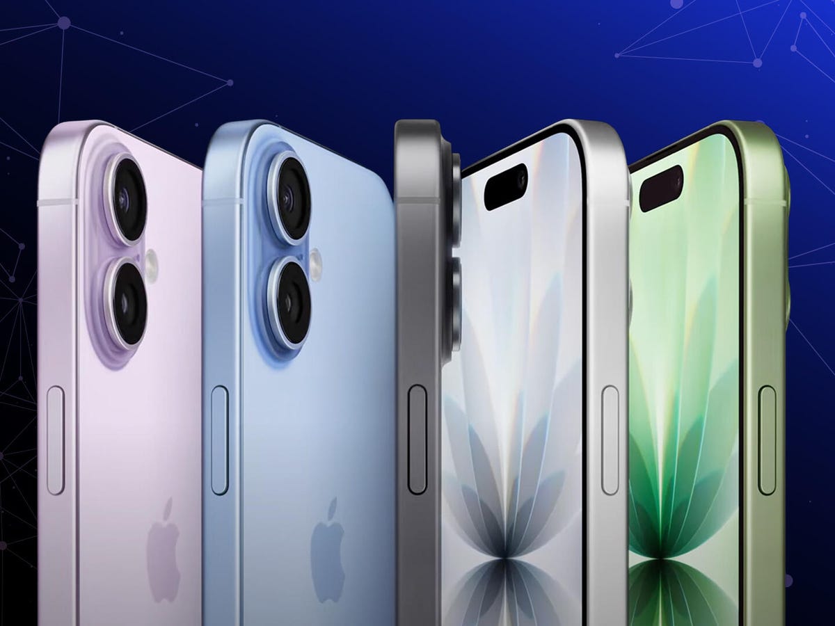 Final Verdict - visual representation