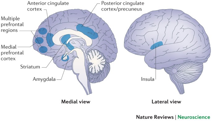 Comprehensive Comparison: Feature Matrix and Decision Framework - visual representation