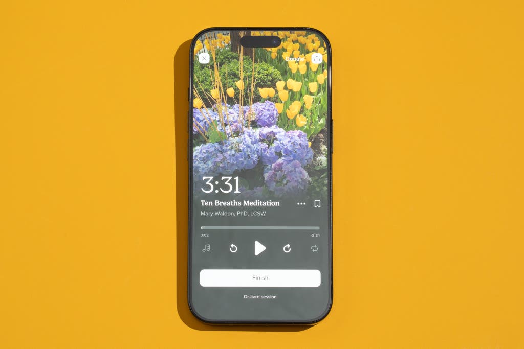 Choosing the Right Meditation App: A Decision Framework - visual representation