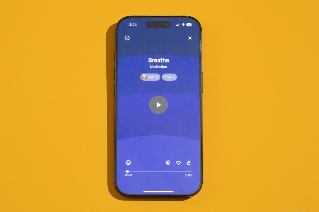 Emerging Trends and the Future of Meditation Technology in 2026 - visual representation