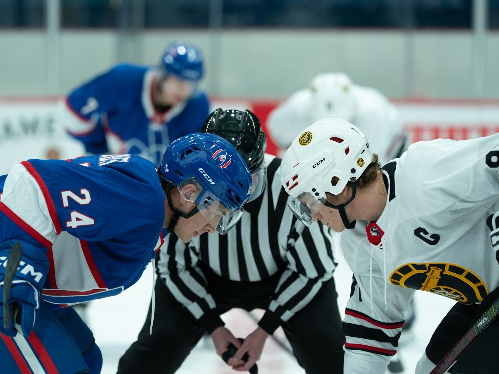 I, Tonya: The Scandal That Redefined Figure Skating - visual representation