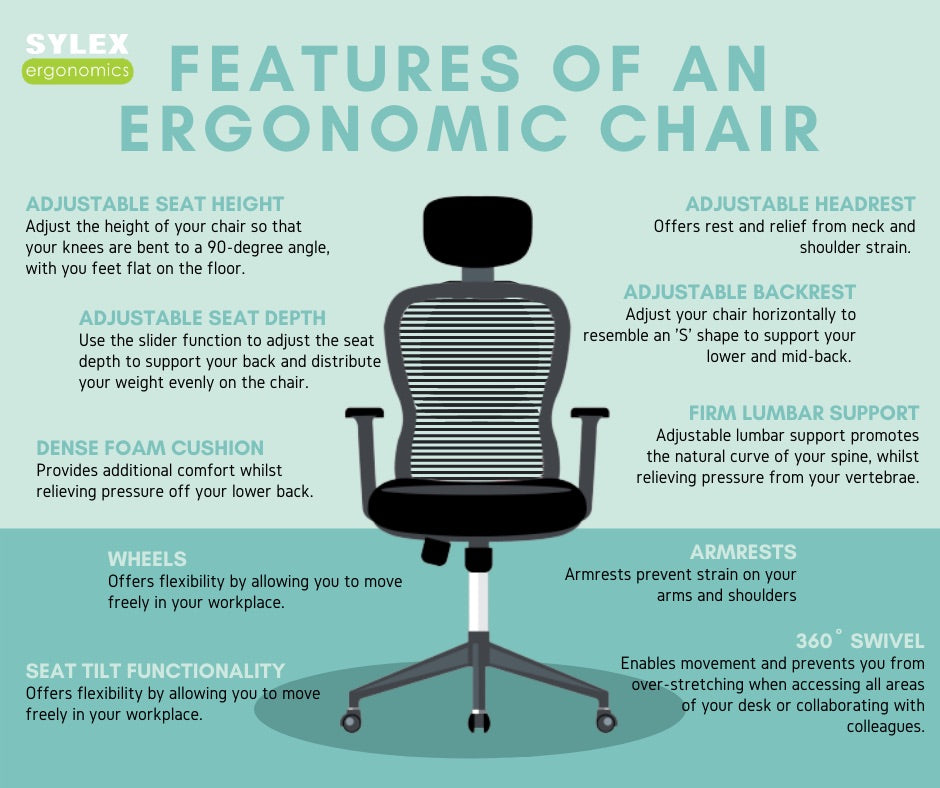 Branch Ergonomic Chair Pro: The Goldilocks Option - visual representation