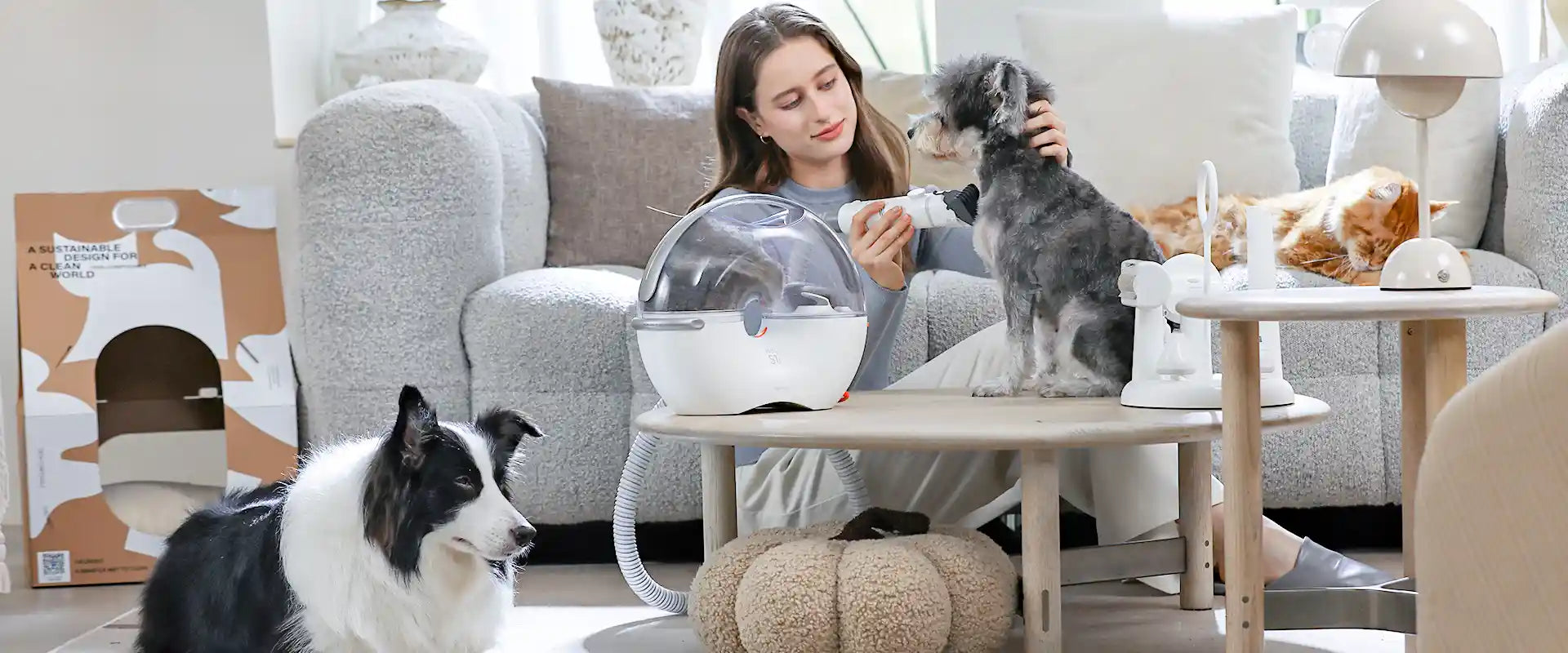 Budget Tiers: What You Actually Need to Spend - visual representation