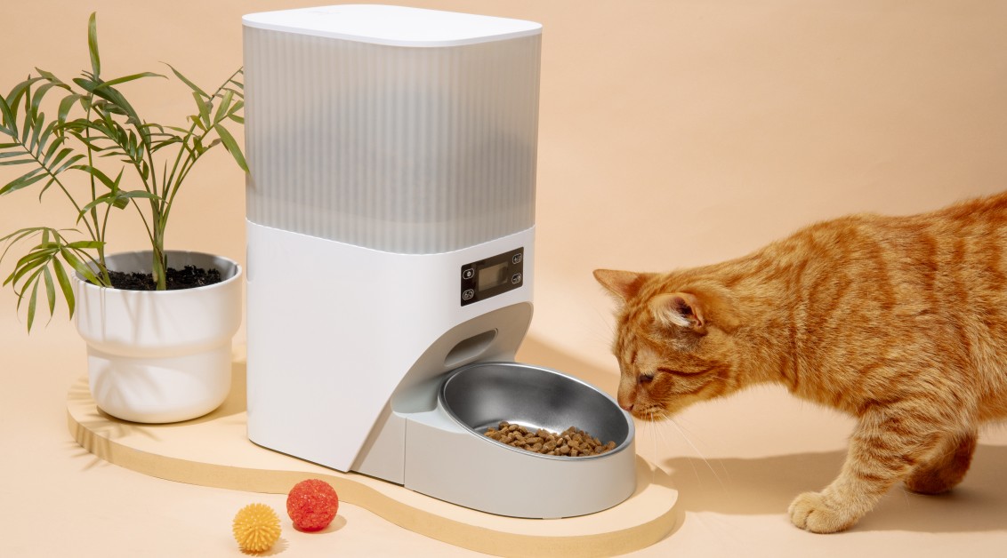 Final Thoughts: Pet Tech That Actually Matters - visual representation