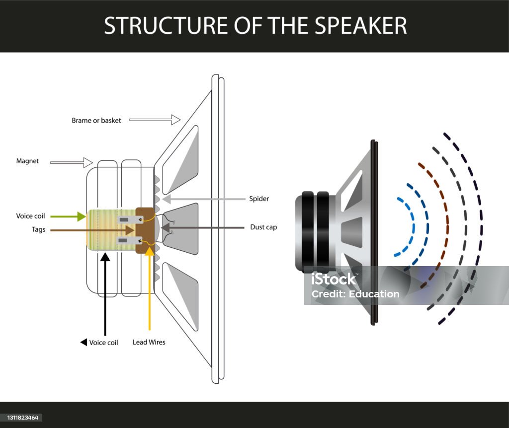 How Portable Bluetooth Speakers Actually Work (The Physics) - contextual illustration