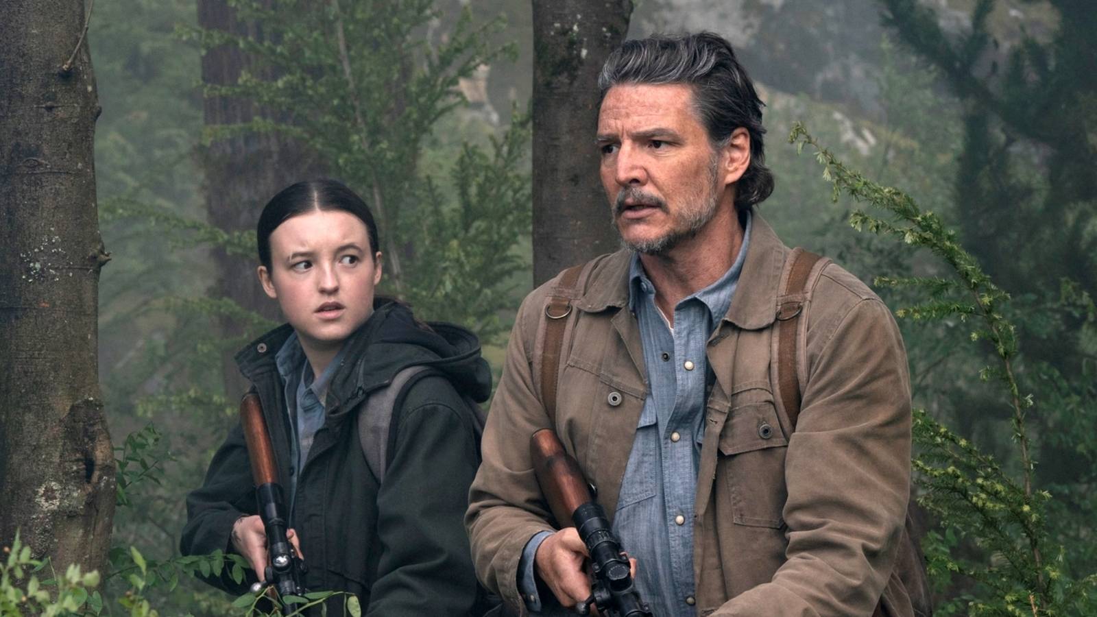 Streaming Schedule and Availability on HBO Max - visual representation