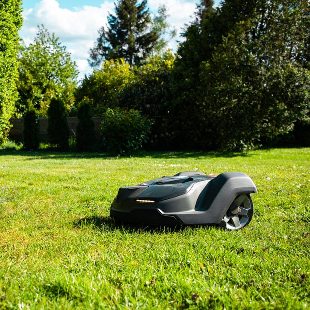 Comparing Robot Mowers to Alternative Lawn Care Solutions - visual representation